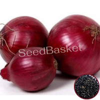 Onion Red (400 Seeds) Onion Red (400 Seeds)