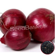 Onion Red (400 Seeds)