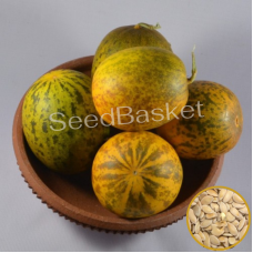 Sambar Cucumber(Dosakaya)- 50 Seeds Sambar Cucumber(Dosakaya)- 50 Seeds