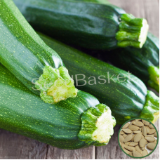 Zucchini Summer Squash Long (20 Seeds)