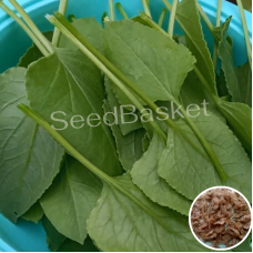 Chukka Kura (250+ Seeds) Chukka Kura (250+ Seeds)